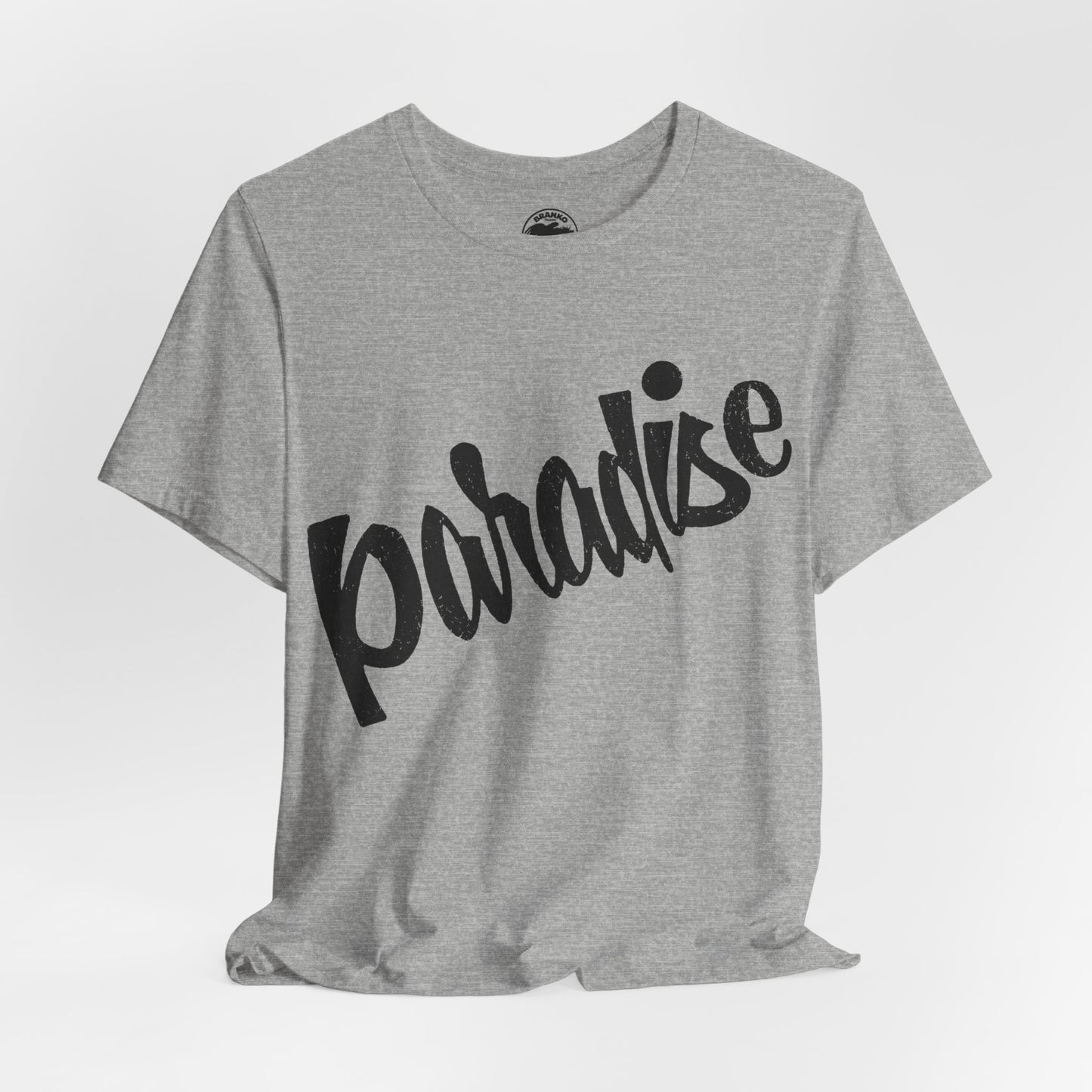 Paradise Bar (Iconic Boston/Cambridge Gay Bar/1971-2018)