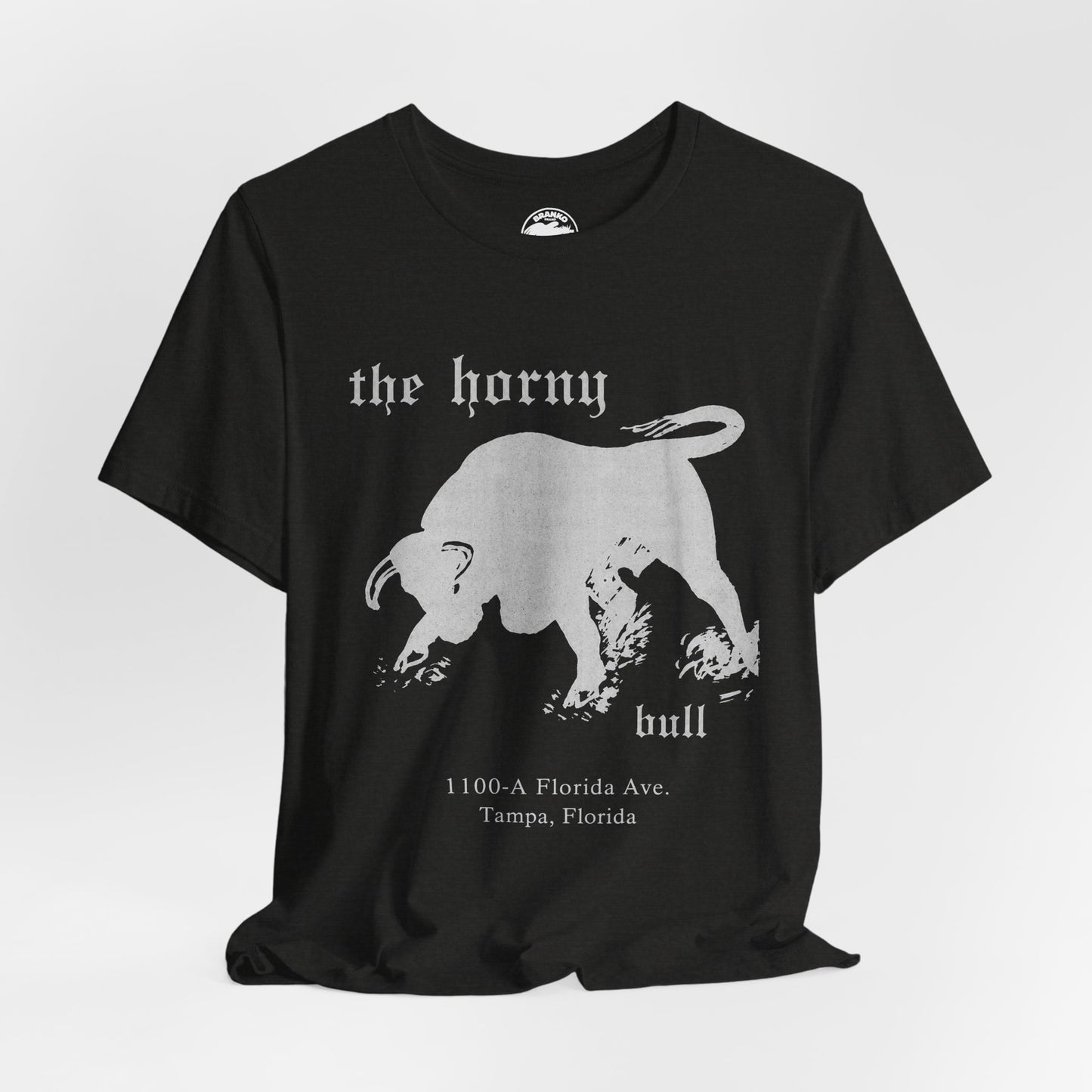 The Horny Bull (Tampa Gay Bar/70's and 80's)