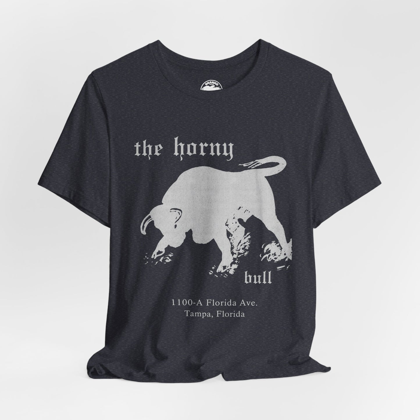 The Horny Bull (Tampa Gay Bar/70's and 80's)