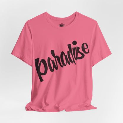 Paradise Bar (Iconic Boston/Cambridge Gay Bar/1971-2018)