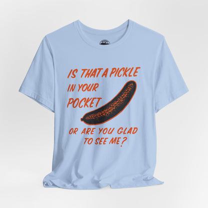 Is That a Pickle in Your Pocket... (Replica 70's Iron-On Transfer Graphic)