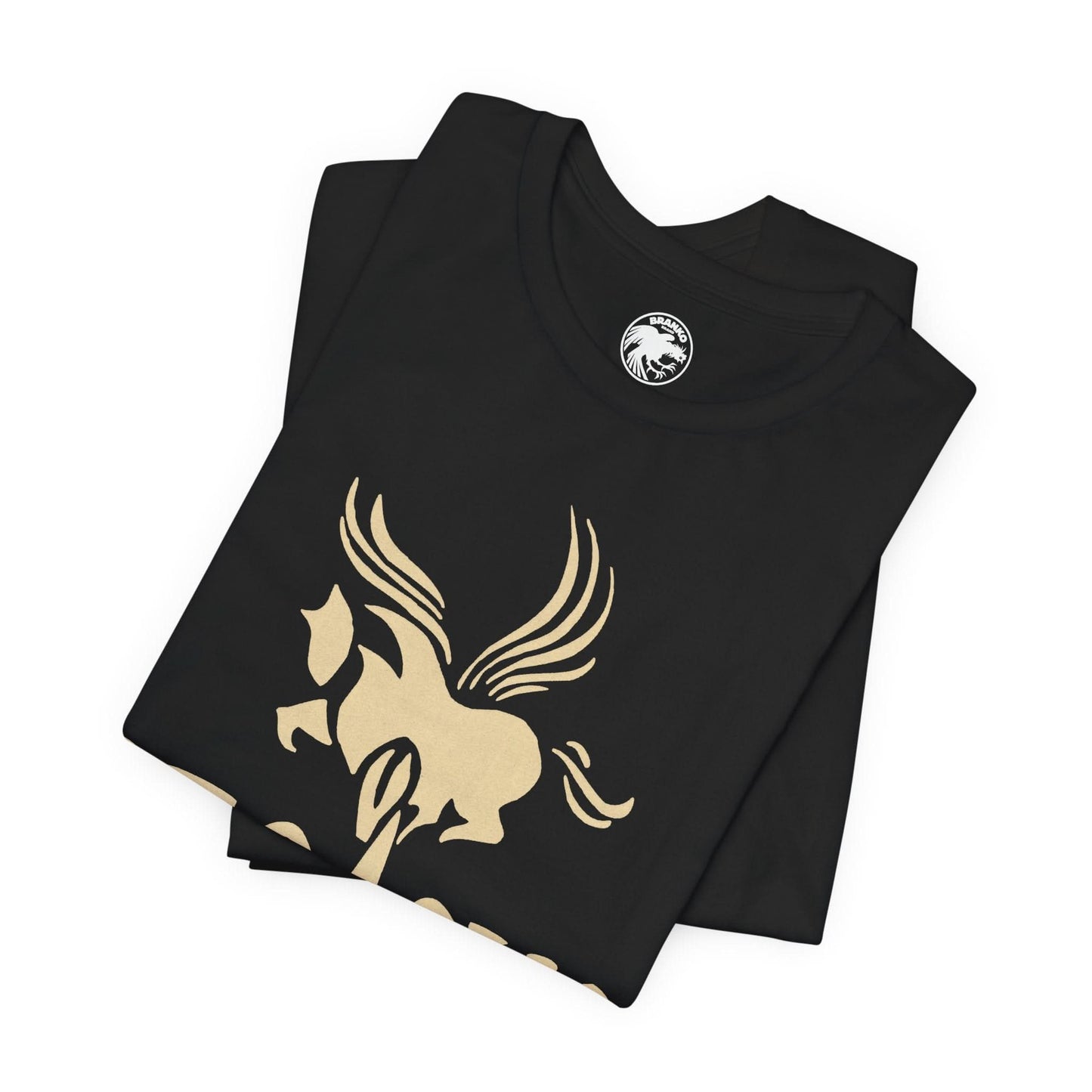 Pegasus Lounge (Pittsburgh LGBTQ+ Club/1980-2012)