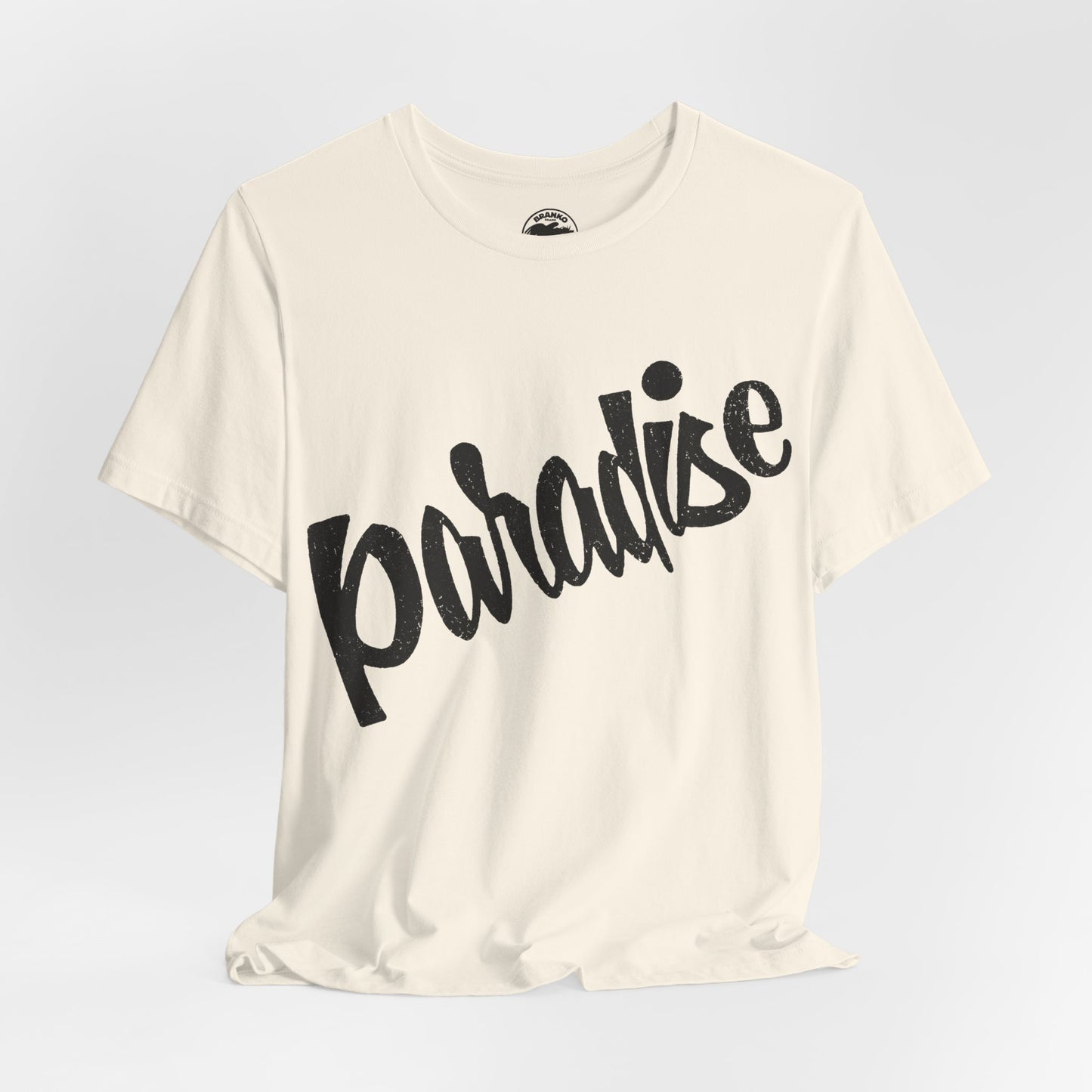 Paradise Bar (Iconic Boston/Cambridge Gay Bar/1971-2018)