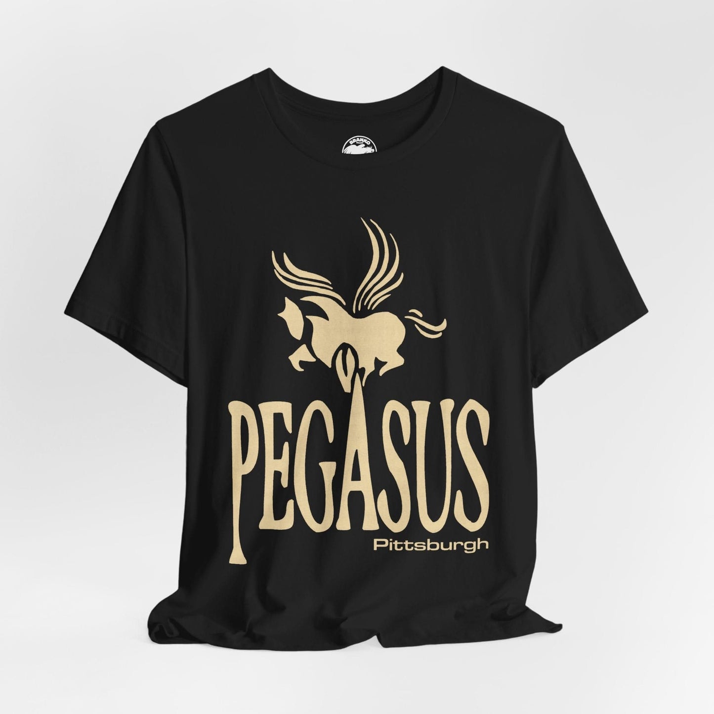 Pegasus Lounge (Pittsburgh LGBTQ+ Club/1980-2012)