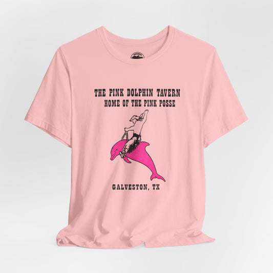 The Pink Dolphin (Galveston, Texas Gay Bar/2004-2018)