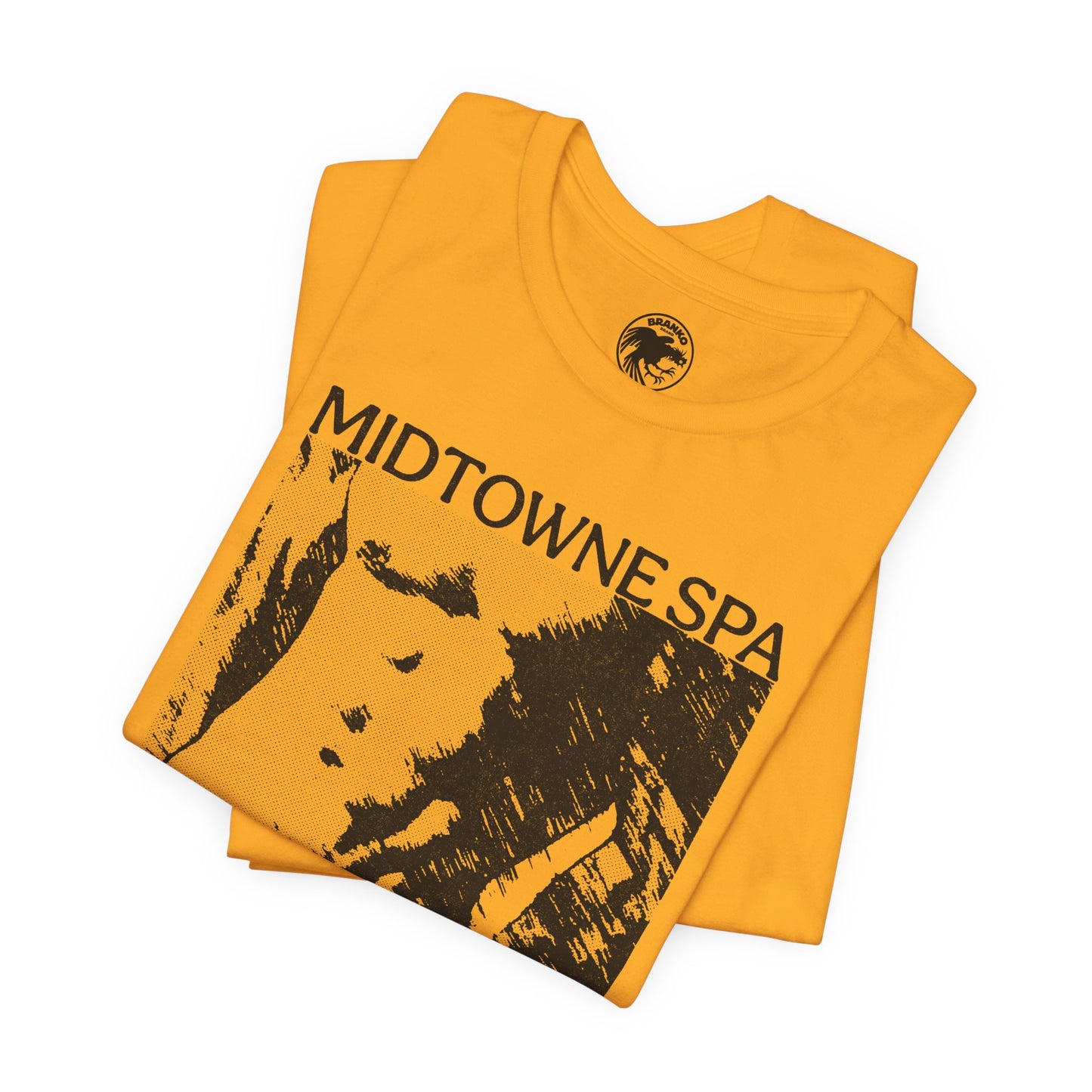 Midtowne Spa (Los Angeles Gay Bathhouse/1972-2022)