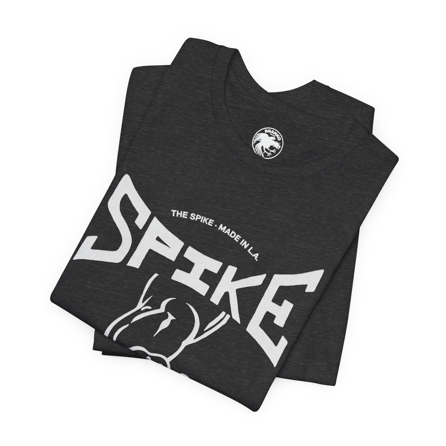 The Spike (Iconic West Hollywood Leather Bar/1978-2009)