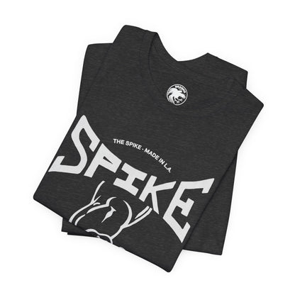The Spike (Iconic West Hollywood Leather Bar/1978-2009)