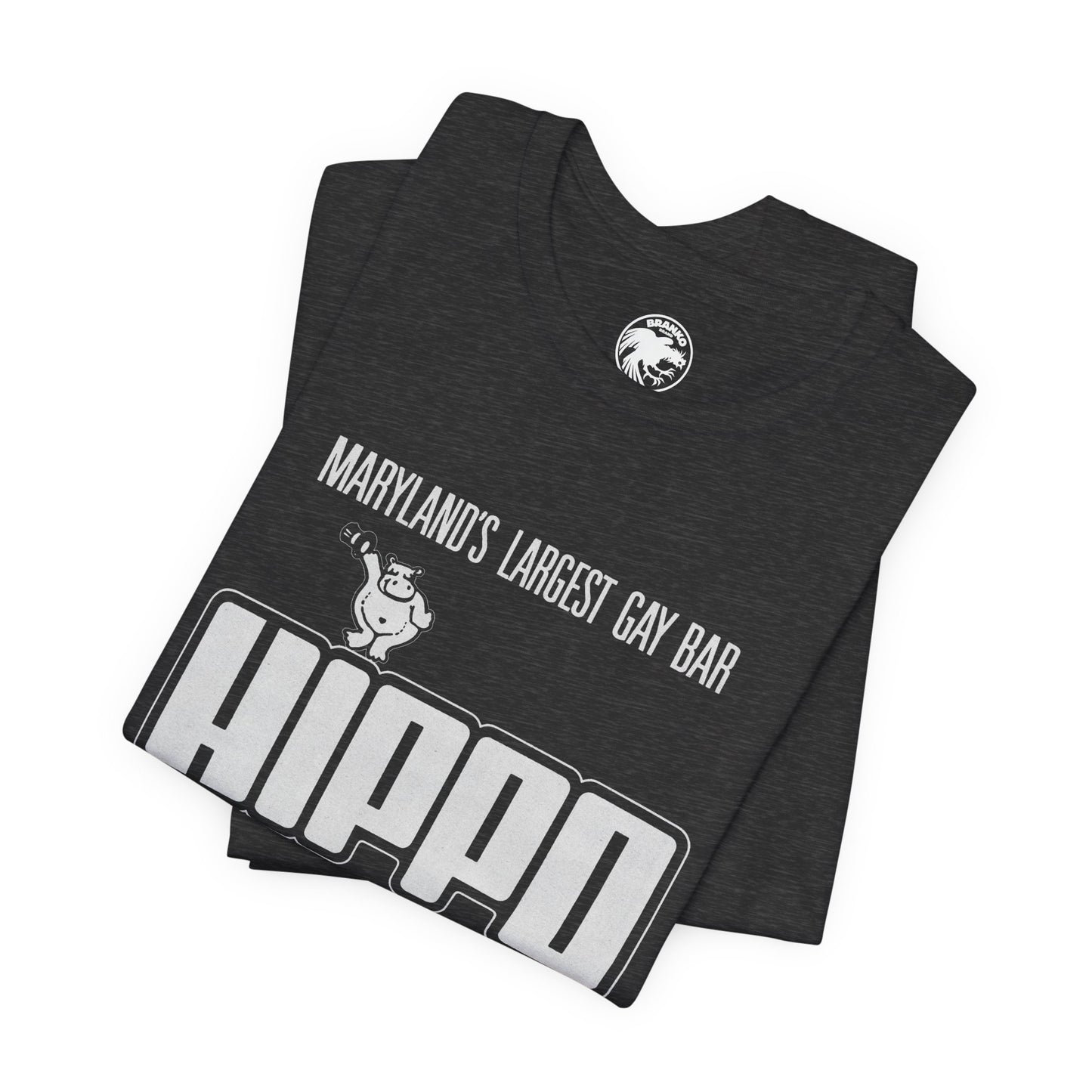 Club Hippo/The Hippopotamus (Baltimore LGBTQ Club/1972-2015/Hippo Baltimore)