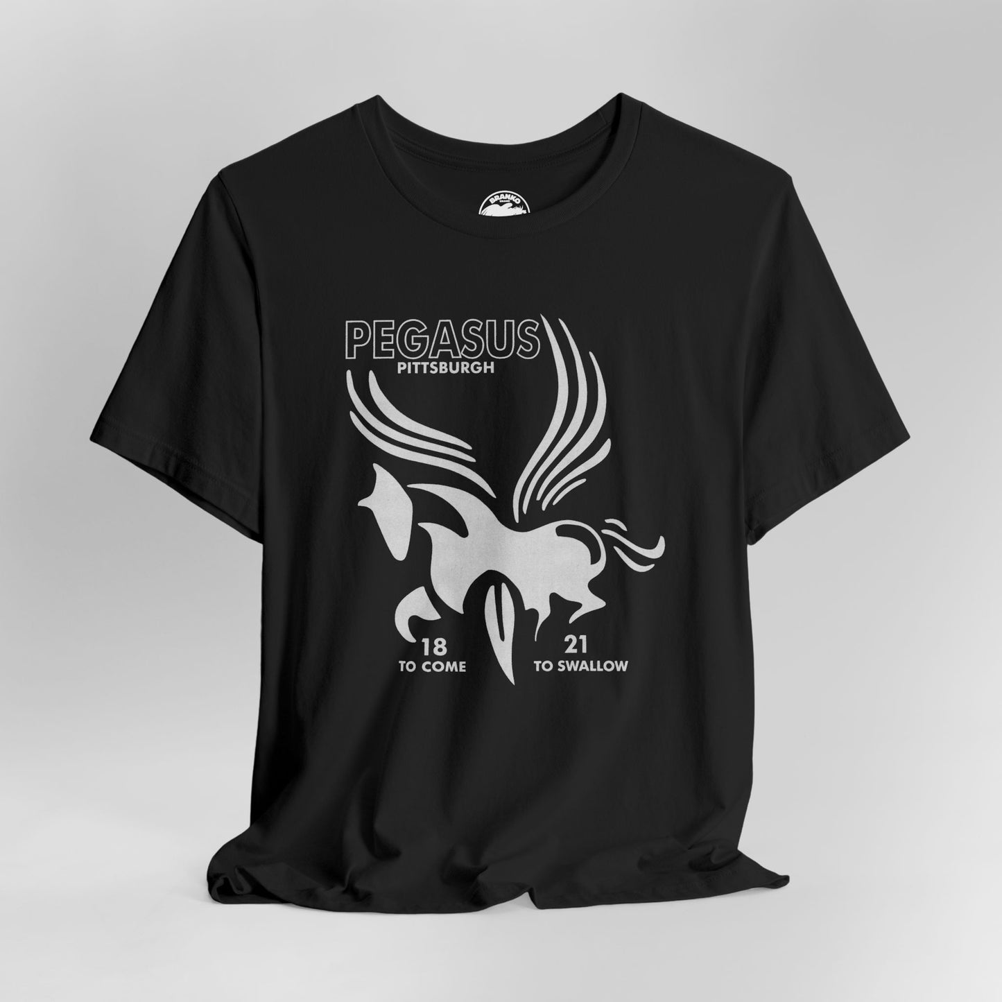 Pegasus Lounge (Pittsburgh LGBTQ+ Club/1980-2012)