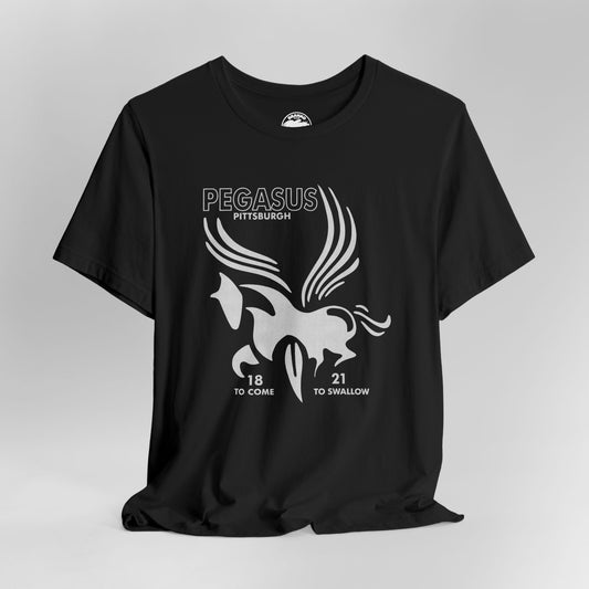 Pegasus Lounge (Pittsburgh LGBTQ+ Club/1980-2012)