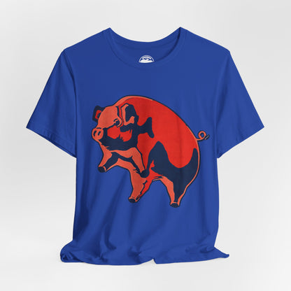 Pink Floyd (Oversized Animals Pig with Vintage Print Effect)