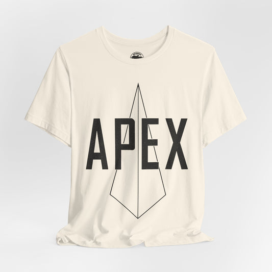 Apex (Washington, DC Gay Club/1983-2011)