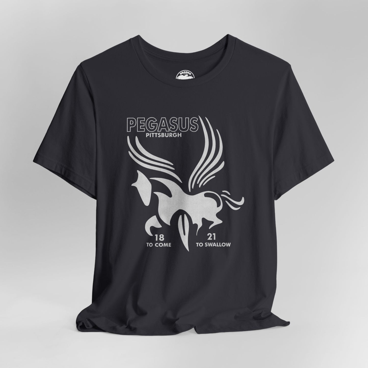 Pegasus Lounge (Pittsburgh LGBTQ+ Club/1980-2012)