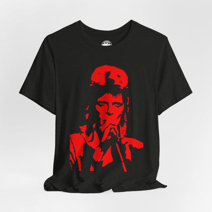 David Bowie (Ziggy Stardust Era Graphic Design)