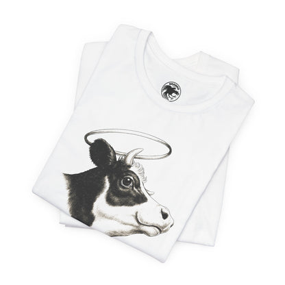 Holy Cow (San Francisco Queer Nightclub/1987-2022)