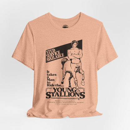 Young Stallions (70's Gay Porn Poster Image)