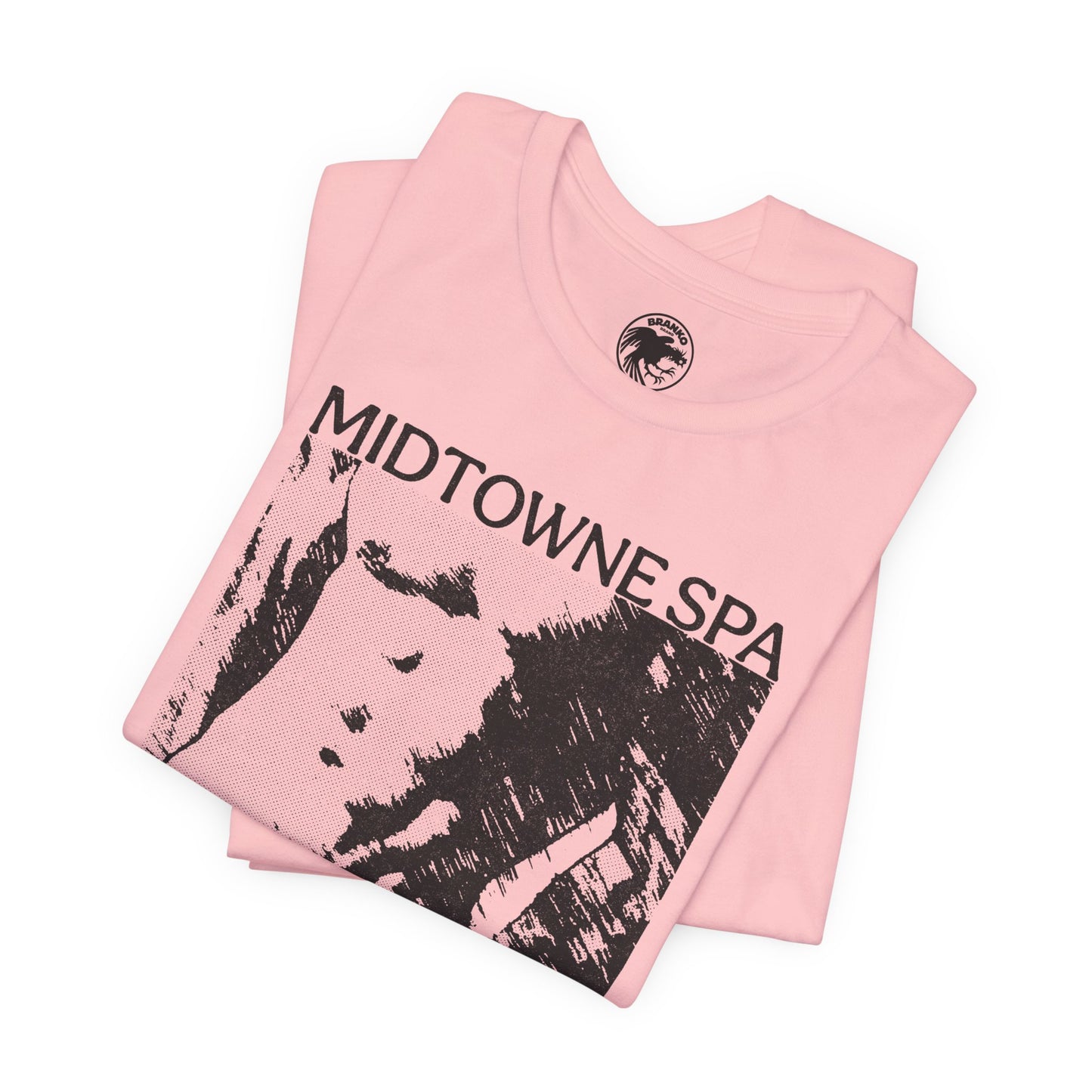 Midtowne Spa (Los Angeles Gay Bathhouse/1972-2022)