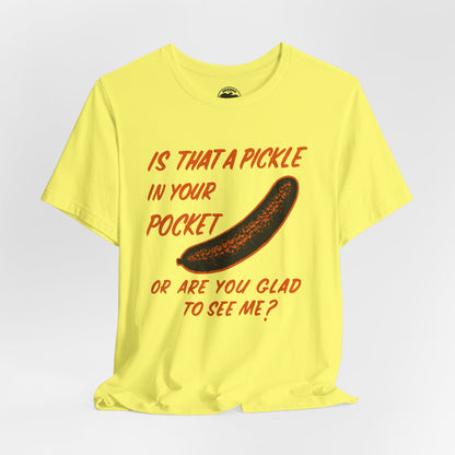 Is That a Pickle in Your Pocket... (Replica 70's Iron-On Transfer Graphic)